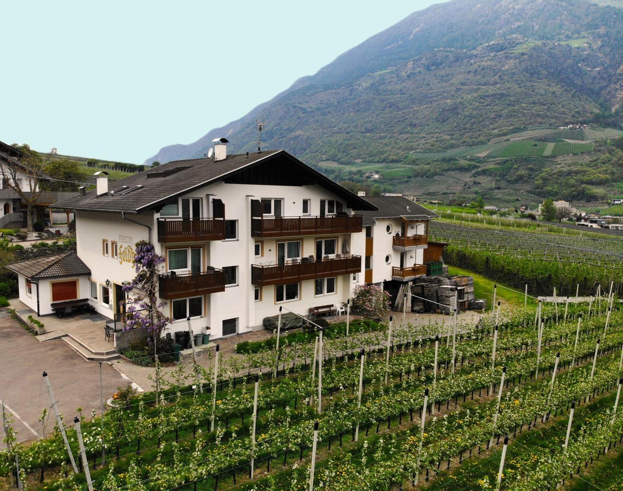 Residence Feldhof Castelbello Ngoại thất bức ảnh